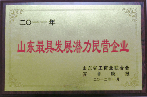 聯(lián)橋集團獲評山東最具發(fā)展?jié)摿γ駹I企業(yè)